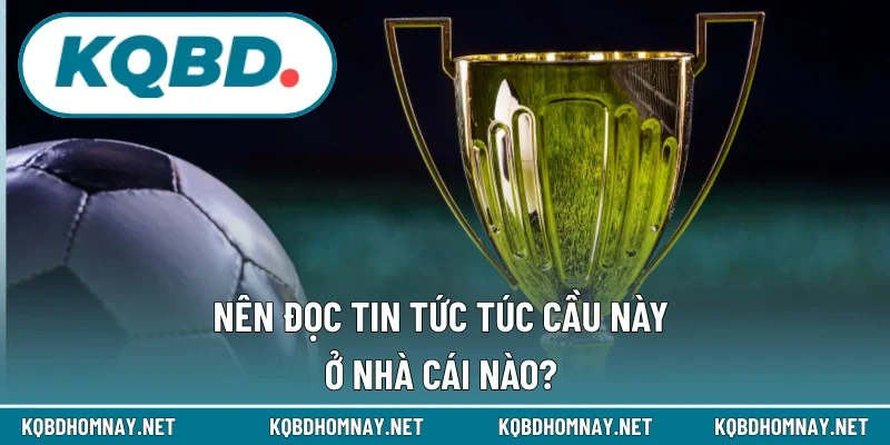 Có nhiều nhà cái có dạng thông tin này