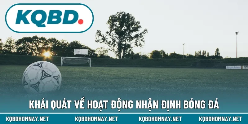 Khái quát về hoạt động nhận định bóng đá