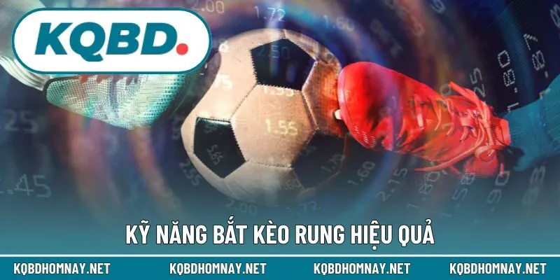 Kỹ năng bắt kèo rung hiệu quả