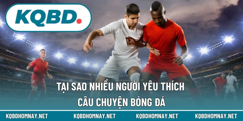 Lý do danh mục này được yêu thích