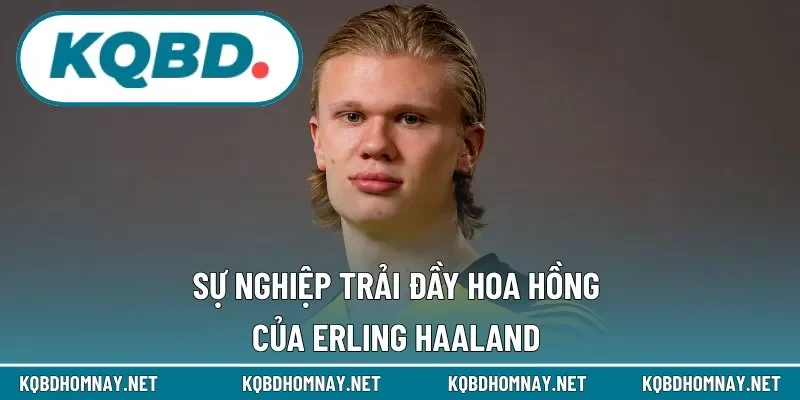 Cô Gái Hà Lan có sự nghiệp ra sao?